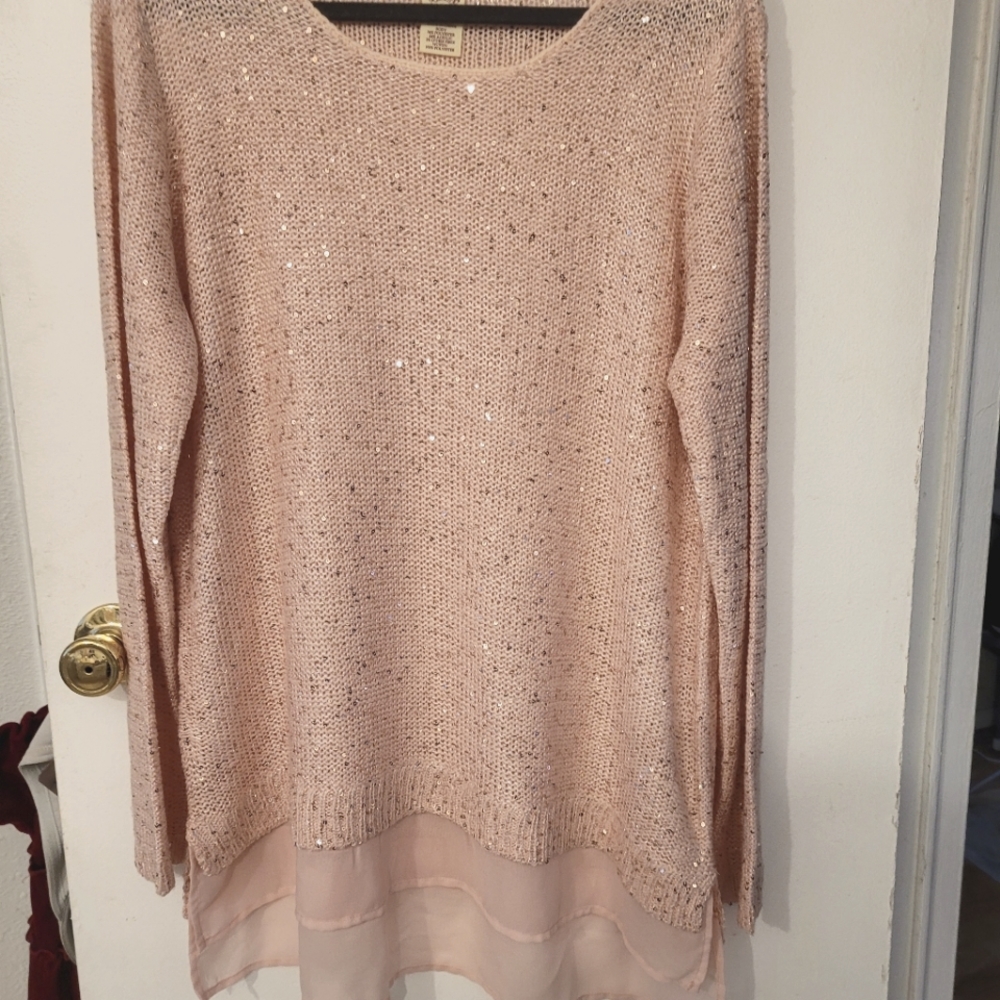 Sparkley semi sheer sweater top